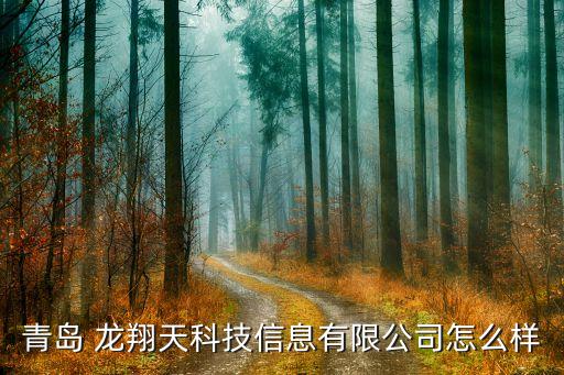 青島 龍翔天科技信息有限公司怎么樣