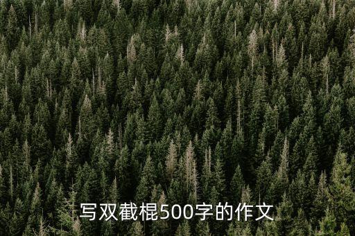 寫雙截棍500字的作文