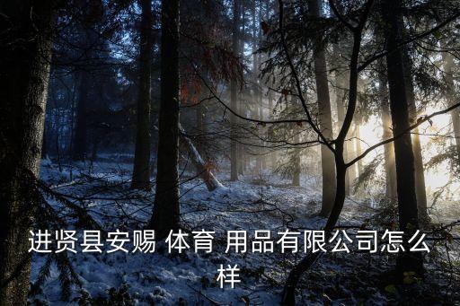 進賢縣安賜 體育 用品有限公司怎么樣