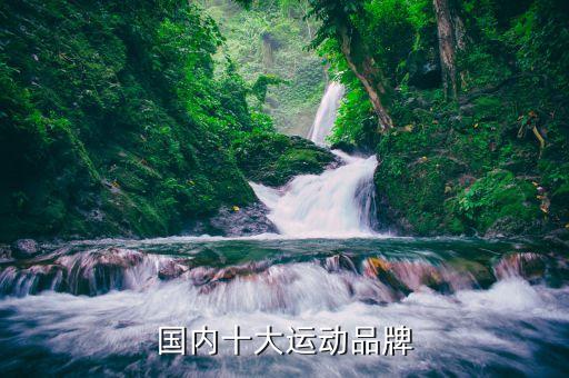 國內(nèi)十大運動品牌