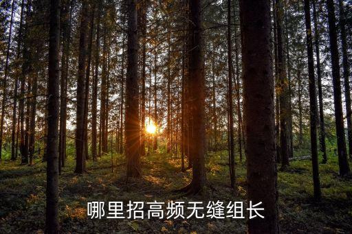 哪里招高頻無縫組長