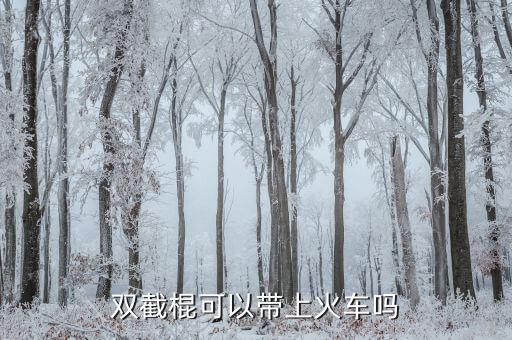 雙截棍可以帶上火車嗎