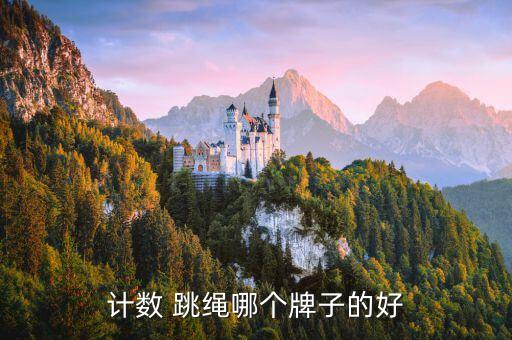 計數(shù) 跳繩哪個牌子的好