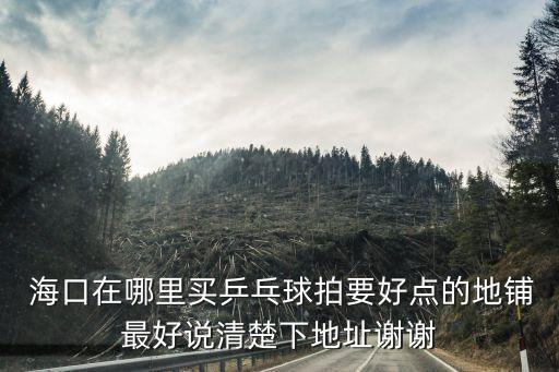  海口在哪里買乒乓球拍要好點的地鋪最好說清楚下地址謝謝