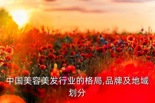 中國美容美發(fā)行業(yè)的格局,品牌及地域劃分