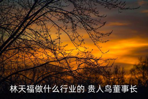 石家莊貴人鳥(niǎo)體育用品,福建貴人鳥(niǎo)體育用品有限公司