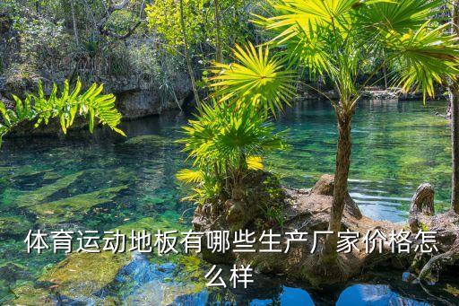  體育運(yùn)動(dòng)地板有哪些生產(chǎn)廠家價(jià)格怎么樣
