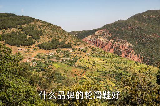 什么品牌的輪滑鞋好