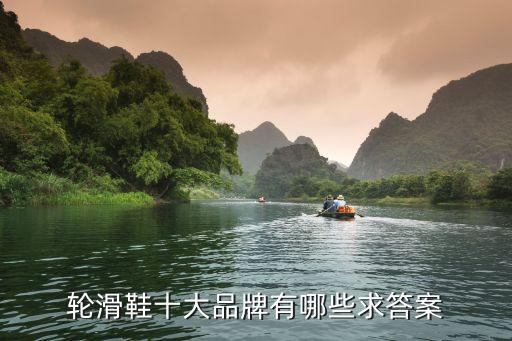 輪滑鞋十大品牌有哪些求答案