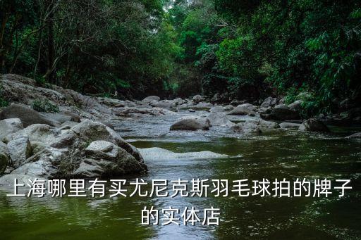 上海哪里有買尤尼克斯羽毛球拍的牌子的實(shí)體店