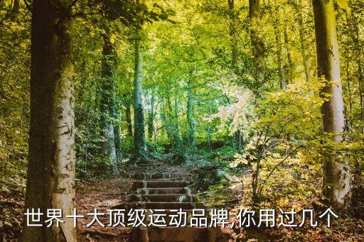 世界十大頂級運動品牌,你用過幾個