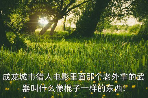 成龍城市獵人電影里面那個(gè)老外拿的武器叫什么像棍子一樣的東西!