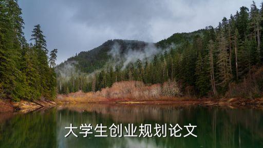 大學(xué)生創(chuàng)業(yè)規(guī)劃論文