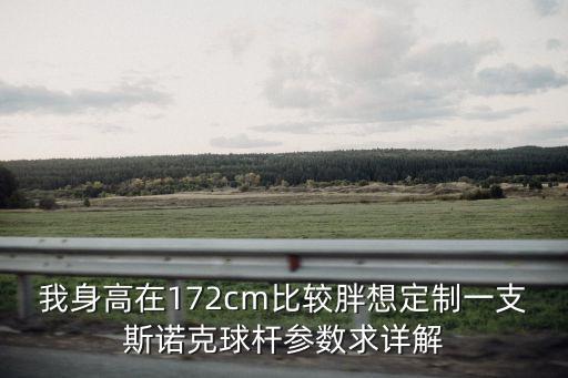 我身高在172cm比較胖想定制一支斯諾克球桿參數求詳解