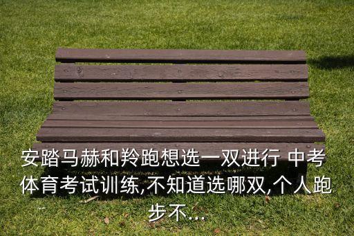 安踏馬赫和羚跑想選一雙進(jìn)行 中考 體育考試訓(xùn)練,不知道選哪雙,個(gè)人跑步不...