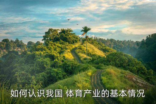 如何認(rèn)識我國 體育產(chǎn)業(yè)的基本情況