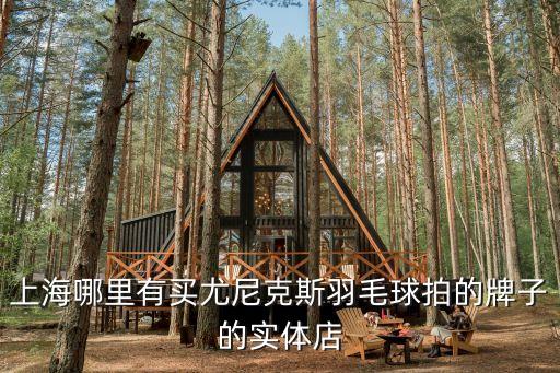 上海哪里有買尤尼克斯羽毛球拍的牌子的實(shí)體店