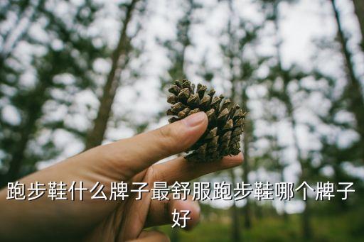 跑步鞋什么牌子最舒服跑步鞋哪個牌子好