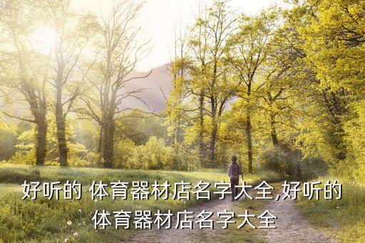 體育用品超市叫什么來著,蕪湖最大的體育用品超市