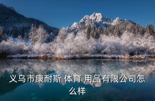 義烏市康耐斯 體育 用品有限公司怎么樣