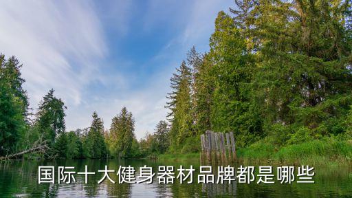 國際十大健身器材品牌都是哪些