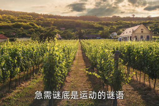急需謎底是運(yùn)動(dòng)的謎語(yǔ)