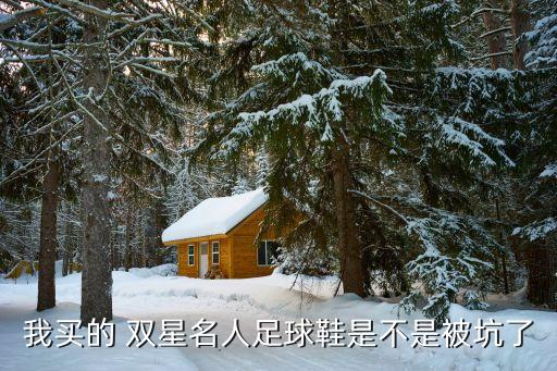 我買(mǎi)的 雙星名人足球鞋是不是被坑了