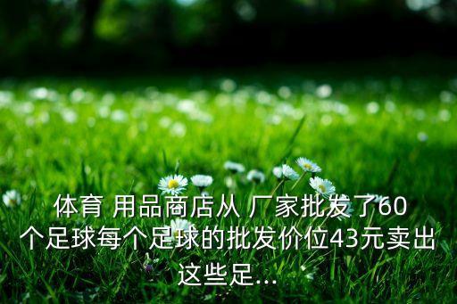  體育 用品商店從 廠家批發(fā)了60個(gè)足球每個(gè)足球的批發(fā)價(jià)位43元賣(mài)出這些足...