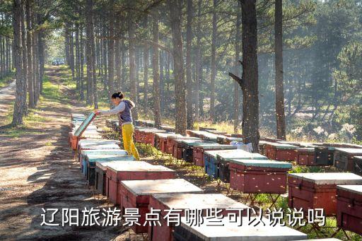  遼陽旅游景點(diǎn)有哪些可以說說嗎
