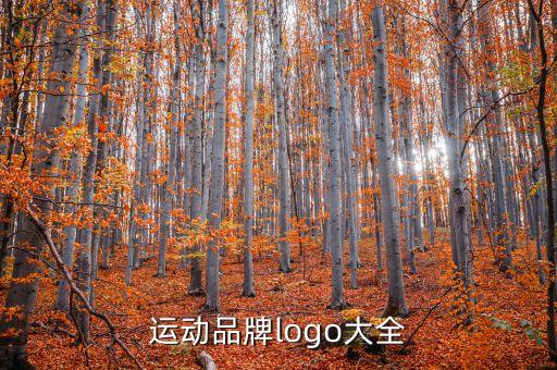 運(yùn)動(dòng)品牌logo大全