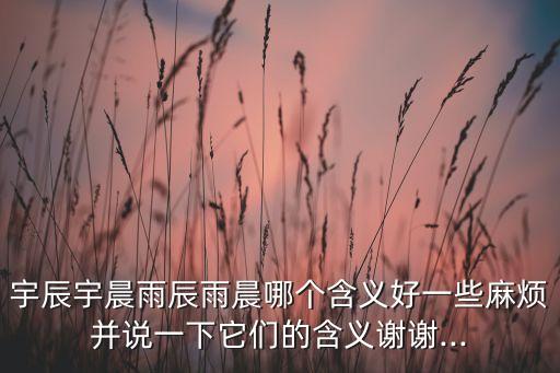 宇辰宇晨雨辰雨晨哪個(gè)含義好一些麻煩并說一下它們的含義謝謝...