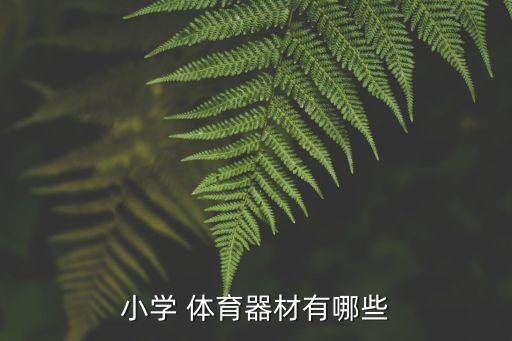 小學(xué) 體育器材有哪些