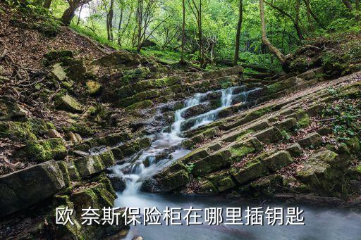 歐 奈斯保險(xiǎn)柜在哪里插鑰匙