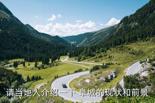 請當(dāng)?shù)厝私榻B一下 阜城的現(xiàn)狀和前景