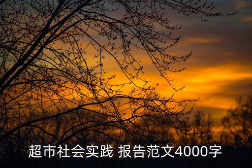 超市社會(huì)實(shí)踐 報(bào)告范文4000字