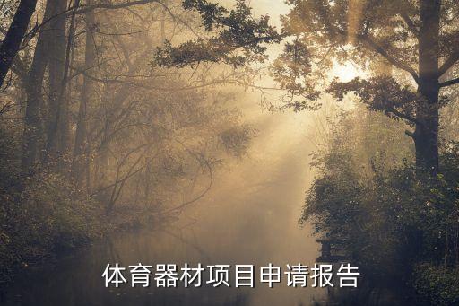  體育器材項目申請報告