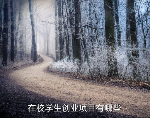 在校學生創(chuàng)業(yè)項目有哪些