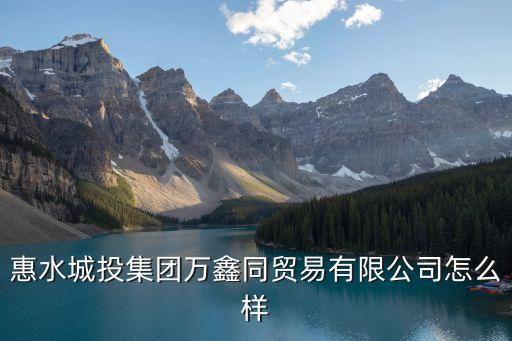 惠水城投集團(tuán)萬鑫同貿(mào)易有限公司怎么樣