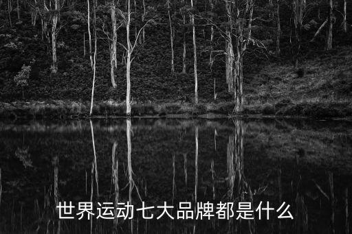 世界運(yùn)動七大品牌都是什么