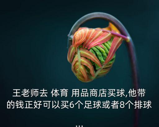 王老師去 體育 用品商店買球,他帶的錢正好可以買6個足球或者8個排球...