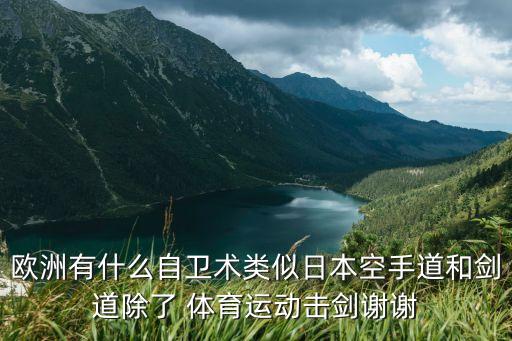 歐洲有什么自衛(wèi)術(shù)類似日本空手道和劍道除了 體育運(yùn)動(dòng)擊劍謝謝