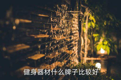  健身器材什么牌子比較好