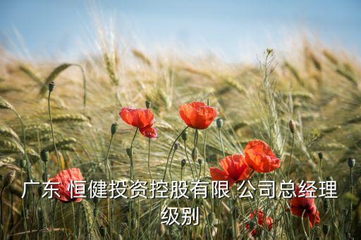 廣東 恒健投資控股有限 公司總經理級別