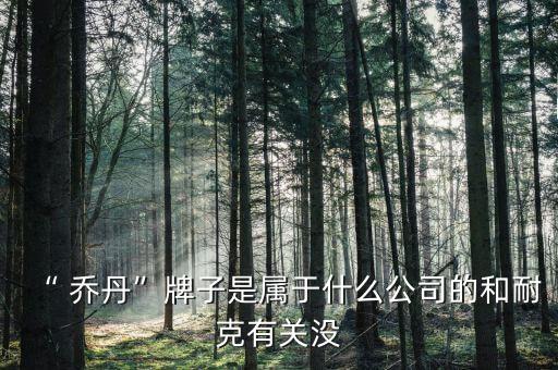 “ 喬丹”牌子是屬于什么公司的和耐克有關沒