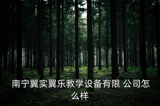  南寧翼實翼樂教學(xué)設(shè)備有限 公司怎么樣