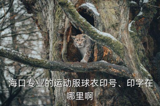  ?？趯I(yè)的運動服球衣印號、印字在哪里啊