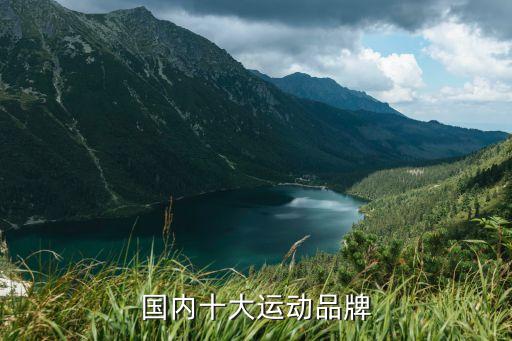 國(guó)內(nèi)十大運(yùn)動(dòng)品牌