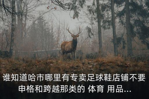 誰知道哈市哪里有專賣足球鞋店鋪不要申格和跨越那類的 體育 用品...