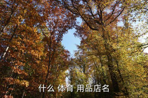 什么 體育 用品店名