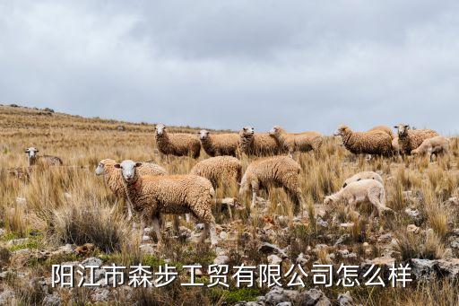 陽江品牌體育用品,陽江新特體育用品有限公司